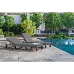 Allibert Daytona Deluxe Ligbed 65x195x25,5cm - 2 Stuks - Grafiet -VIDAXL Winkel 1000031146 0102