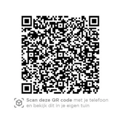 4 Seasons Accor Loungestoel - Antraciet 6 4 Seasons Accor Loungestoel - Antraciet -VIDAXL Winkel 1000042588 0103