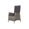 VDG Manhattan Wicker Verstelbare Tuinstoel - Dubbel Light Grey 8 VDG Manhattan Wicker Verstelbare Tuinstoel - Dubbel Light Grey -VIDAXL Winkel 1000048036
