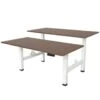 Elektrisch Verstelbaar Duo Bureau - 160x80 Cm - Two Dual Motor - Wit / Donker E -VIDAXL Winkel 1000055997