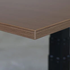 Elektrisch Verstelbaar Bureau - 180x80 Cm - Dual Motor - Zwart / Donker Eiken -VIDAXL Winkel 1000056019 0102