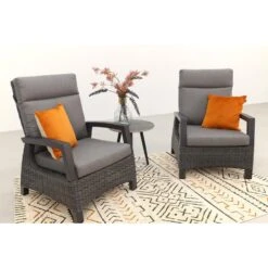 VDG Darwin Verstelbare Loungestoelen + Bijzettafel Rond - Antraciet -VIDAXL Winkel 1000074422 0103