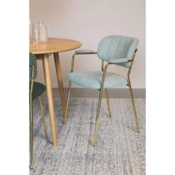 Rein Living Jolien Armstoel - Goud/Lichtgroen - Set Van 2 -VIDAXL Winkel 1000087474 0101