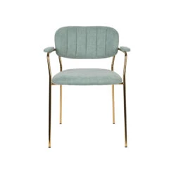 Rein Living Jolien Armstoel - Goud/Lichtgroen - Set Van 2 -VIDAXL Winkel 1000087474 0103