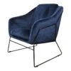 DS4U® Antonio Fauteuil Velvet - Stof - Blauw -VIDAXL Winkel 1000093601