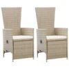 VidaXL - Tuinstoelen - Beige - Poly Rattan - 2 Stuks - Met Kussens -VIDAXL Winkel 1000163245