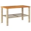 VidaXL - Salontafel Met Opbergruimte - Beige - Poly Rattan En Hout - 70x38x42 Cm -VIDAXL Winkel 1000172525