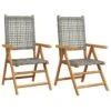 VidaXL - Tuinstoelen - Grijs - Acaciahout En Poly Rattan - 2 Stuks -VIDAXL Winkel 1000172580
