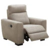 Relaxfauteuil James - Lederlook - Zilvergrijs -VIDAXL Winkel 10200435