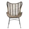 Fauteuil Jasmine - Rotan/metaal - Bruin -VIDAXL Winkel 10207008