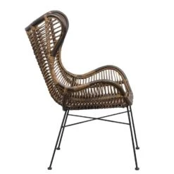 Fauteuil Jasmine - Rotan/metaal - Bruin -VIDAXL Winkel 10207008 8000