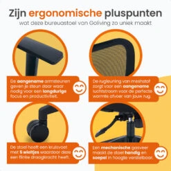 Goliving Ergonomisch Bureaustoel - Verstelbaar - Op Wieltjes - Zwart -VIDAXL Winkel 1842484a2c3f42c5bc8dacc107ab1df4