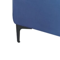 ABERDEEN - Ottomaan - Blauw - Fluweel -VIDAXL Winkel 197e923df0854d03be72868792fdf206