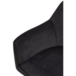 CLP Set Van 2 Eetkamerstoel Boise Zwart Frame - Fluweel - Zwart -VIDAXL Winkel 1be80c0d42414f6a8034b8ab37553a90