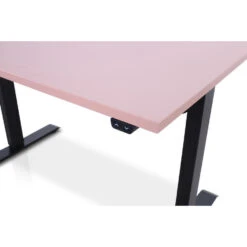 MRC EASY Zit-Sta Bureau – Elektrisch Verstelbaar – 120x80 Cm – Blad Dusty Rose 14 MRC EASY Zit-Sta Bureau – Elektrisch Verstelbaar – 120x80 Cm – Blad Dusty Rose -VIDAXL Winkel 269f0b974aef45e28a9491ce45ad5d30