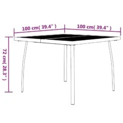 VidaXL - Tuintafel - Antracietkleurig - Staalgaas - 100 X 100 X 72 Cm -VIDAXL Winkel 3ef99c737681475f899e2d067252e467