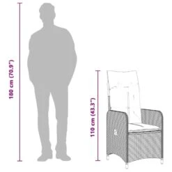 VidaXL - Tuinstoel Verstelbaar Met Kussens - Zwart - Poly Rattan -VIDAXL Winkel 4a8158875a434cee9e38a017dc50a464