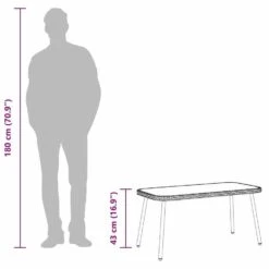 VidaXL - Salontafel - Zwart - Poly Rattan - 90 X 45 X 43 Cm -VIDAXL Winkel 66fa0acec0684148b11ae296e862c577 1