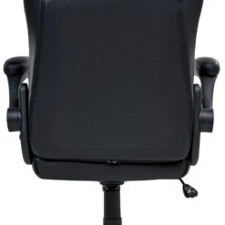 TRIUMPHER - Bureaustoel - Zwart - Kunstleer -VIDAXL Winkel 67c2a0d7f2464ae296f6ebb5efb7a4ff