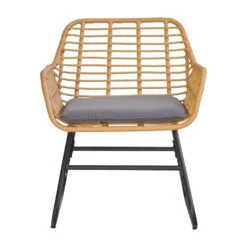 Tuinset Van Rotan En Metaal In Grijs -VIDAXL Winkel 6c146239dbf44835907ba292818e976e