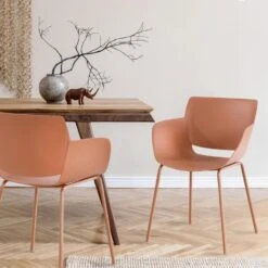 CLP Set Van 2 Eetkamerstoel Alpena Kunststof - Terracotta -VIDAXL Winkel 6e58459fbfe0479280032ce258e705a1