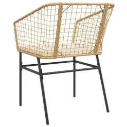 VidaXL - Tuinstoelen - Kussens - Bruin - Poly Rattan - 2 Stuks -VIDAXL Winkel 786b46518bbd4da6aa16027708a7b443