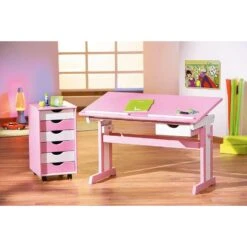 Kinderbureau Cecilia - Roze - 65,5x109x55,5 Cm -VIDAXL Winkel 81013312 0400