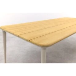 Vdgarde Premium Alaska Tuintafel - Teak/alu - Mokka- 240x100 Cm -VIDAXL Winkel a07fadbaee164778ade1774485110095