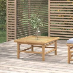 VidaXL - Tuintafel - Bruin - Bamboe - 65x55x30 Cm -VIDAXL Winkel bce95d68c38a4c1a98f00d4fb4e0233f
