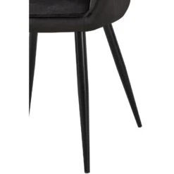 CLP Set Van 2 Eetkamerstoel Boise Zwart Frame - Fluweel - Zwart -VIDAXL Winkel bd7b5b0fee214eaa9765c27b82713cf7