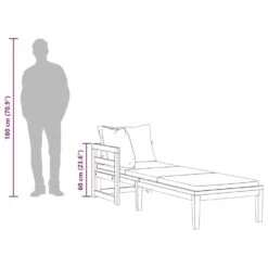 VidaXL - Ligbed Met 1 Armleuning - Grijs - Acaciahout -VIDAXL Winkel bdd7b46f7c934b359f5d57be0e5d82d4