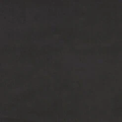 VidaXL - Slaapbank 2-zits - Zwart - Fluweel - Met Kussens -VIDAXL Winkel d93b40b710414304a33ae644ef55d771