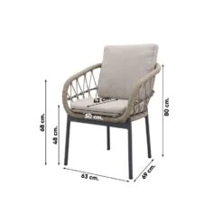 VDG Set Van 4 - Julia Dining Tuinstoel - Antraciet -VIDAXL Winkel e07c54cde97a45bba2684c47e8f06a1b