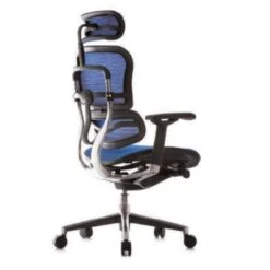 COMFORT Bureaustoel Ergohuman Classic (met Hoofdsteun) - Blauw -VIDAXL Winkel e9d9a7d3b08747f28a2339ac7ab2cd89