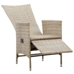 VidaXL - Tuinstoelen - Beige - Poly Rattan - 2 Stuks - Met Kussens -VIDAXL Winkel ea9cea5ad21846baaef7b9e5387085e8