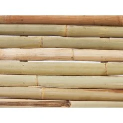 TINDARI - Tuinbank Set Van 2 - Lichthout - Bamboe -VIDAXL Winkel ee32ae7026a2422b98dcaaf185082678