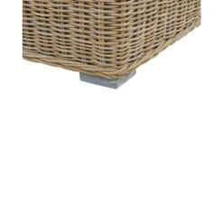 ARDEA - Tuinstoel Set Van 2 - Natuurlijk - Rotan -VIDAXL Winkel ef517178463b4e7dbb53835a0e9a2830
