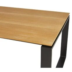 Lisomme Joep Tuintafel Polywood Naturel - 210 X 100 Cm -VIDAXL Winkel ef638be42c724030b06d1269d4e71c11